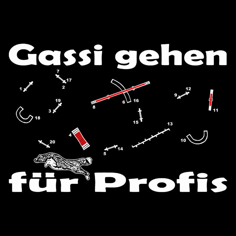 Agility Parcurs