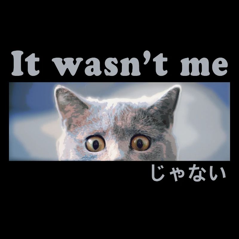 Cassé? C’était pas moi! Chat coupable