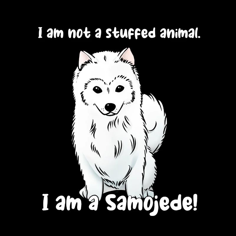 I'm not a cuddly toy. I am a Samoyed!