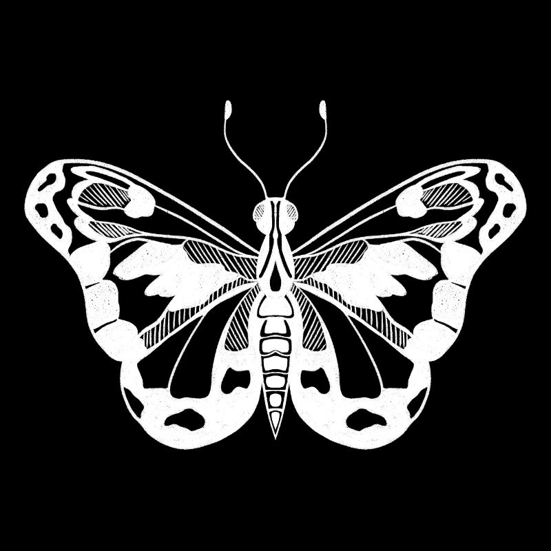 Butterfly Minimal Design