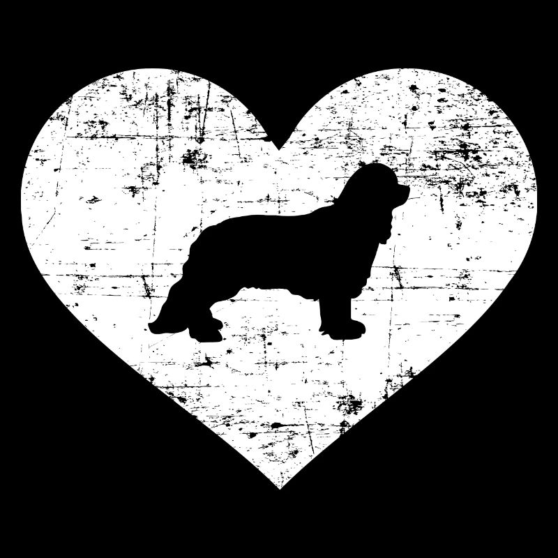 Cavalier King Charles