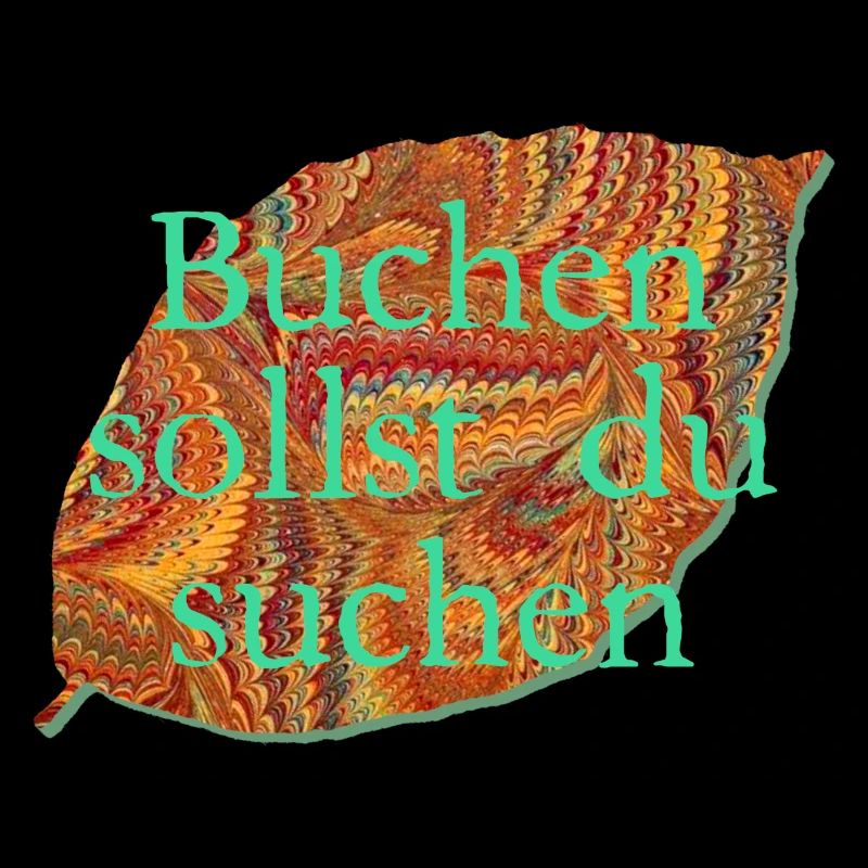 buche e 22