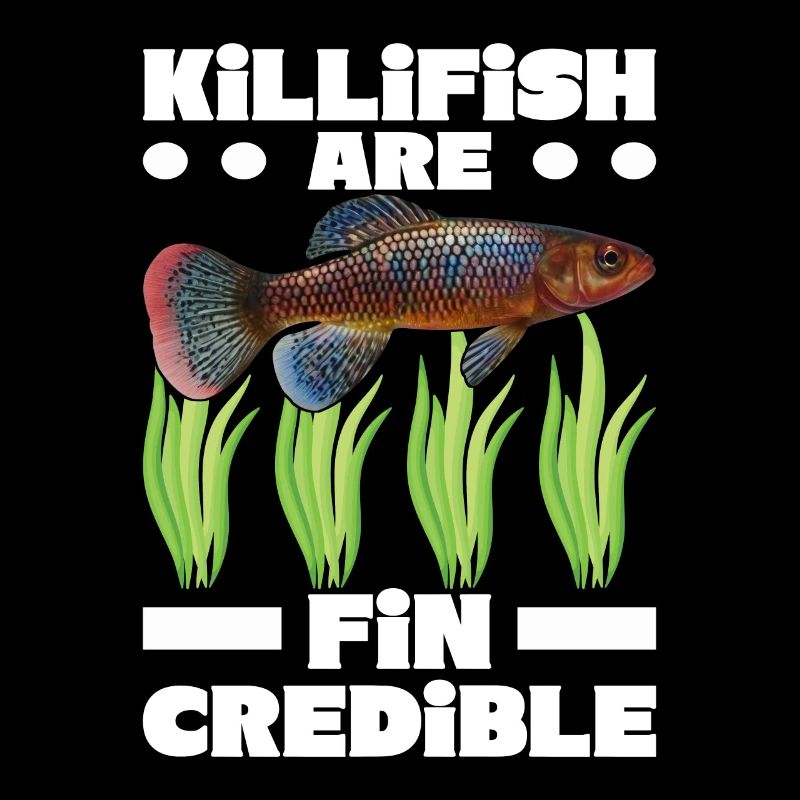 Killifish Quarium Fish