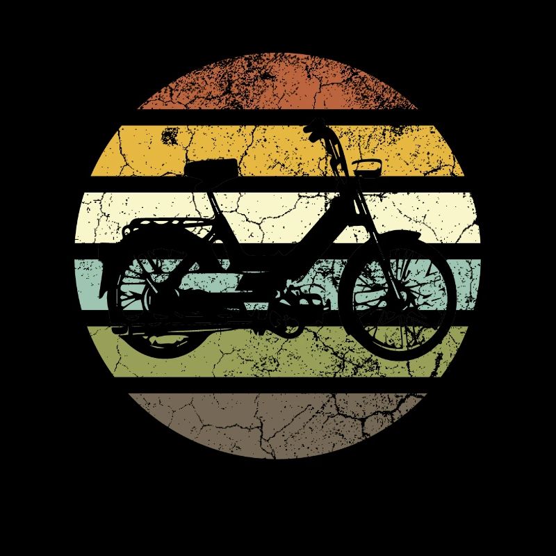 DDR Mobylette Oldtimer Roller Mofa Scooter 2 Takter