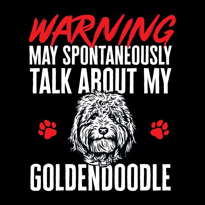 Goldendoodle Doodle Chien