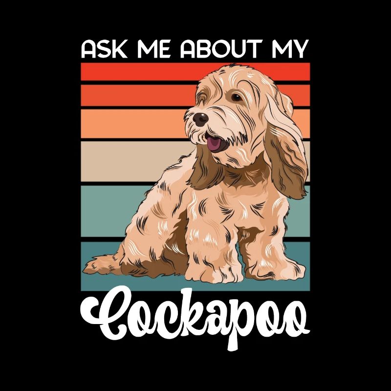 Cockapoo Chien