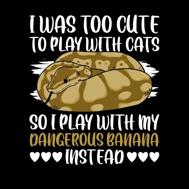 Dangerous Banana Königspython Banana Ball Python