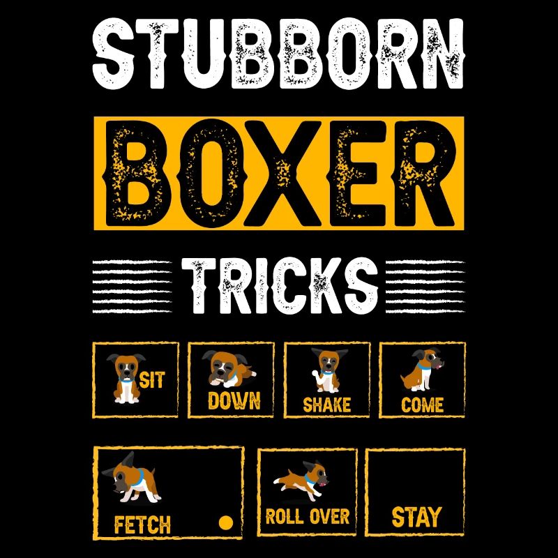 Stubborn Boxer Tricks
