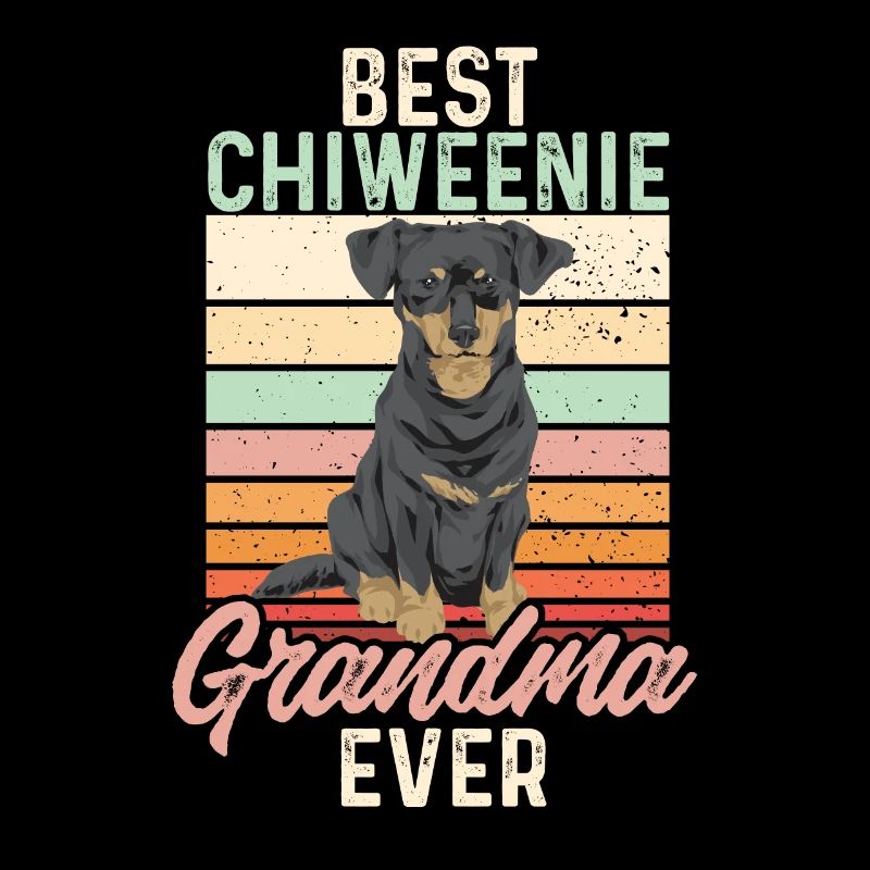 Chiweenie Dog