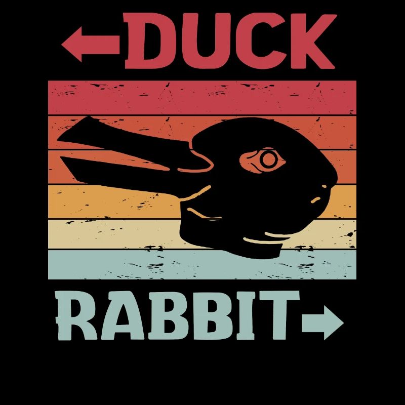 Wittgenstein lapin canard illusion