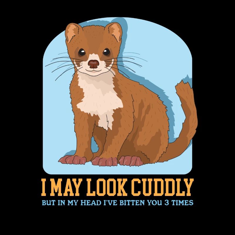 Weasel Mouse Weasel Small Weasel Gift