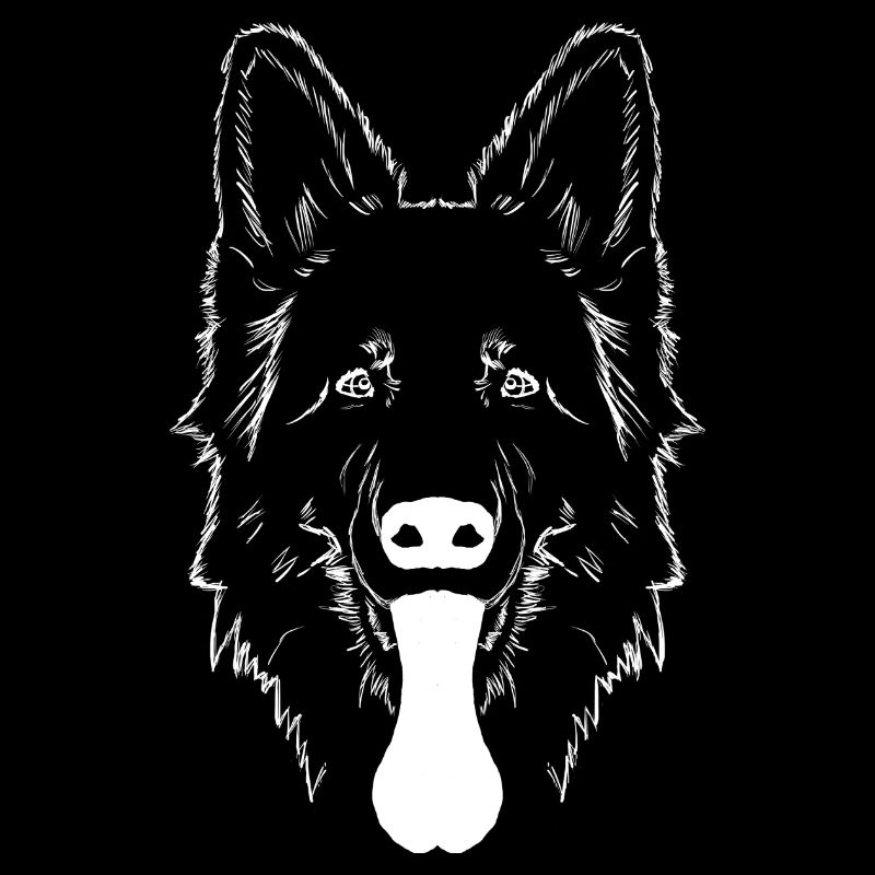 Deutscher Schäferhund Kopf weiß