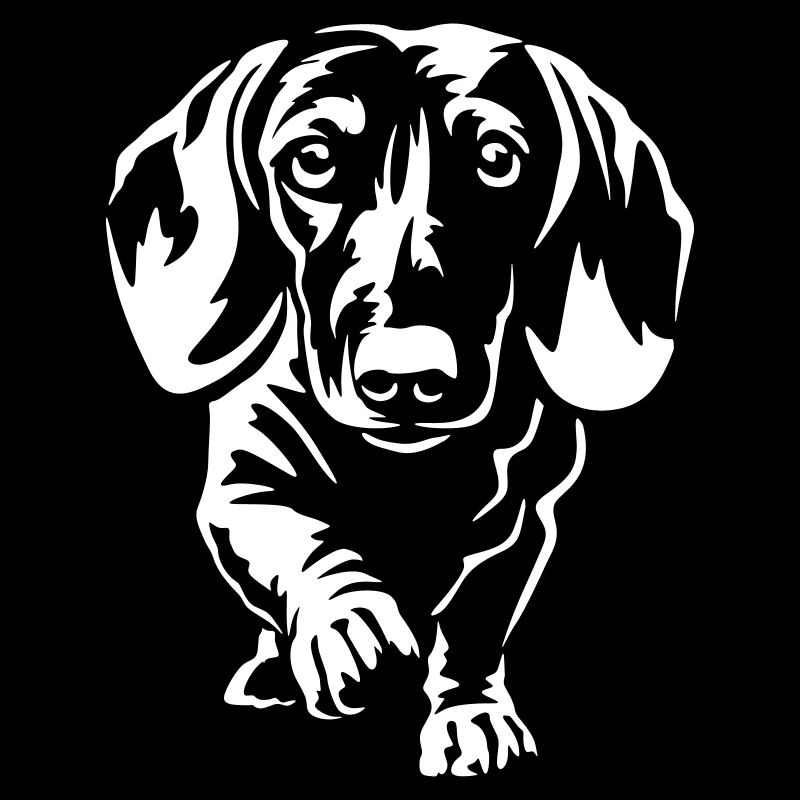 Dachshund "Black Edition"