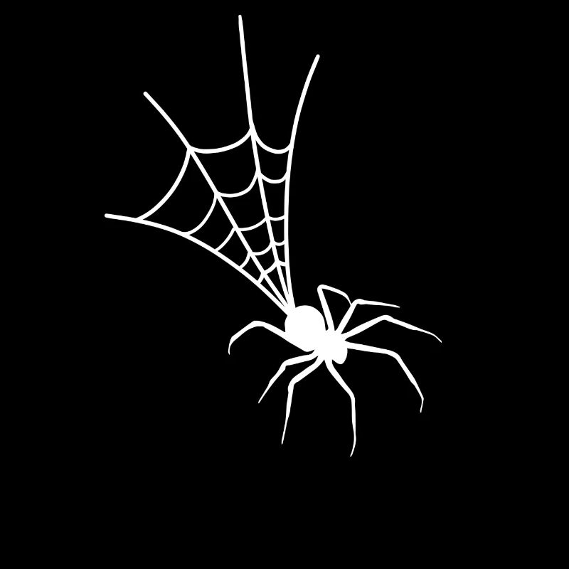 spider