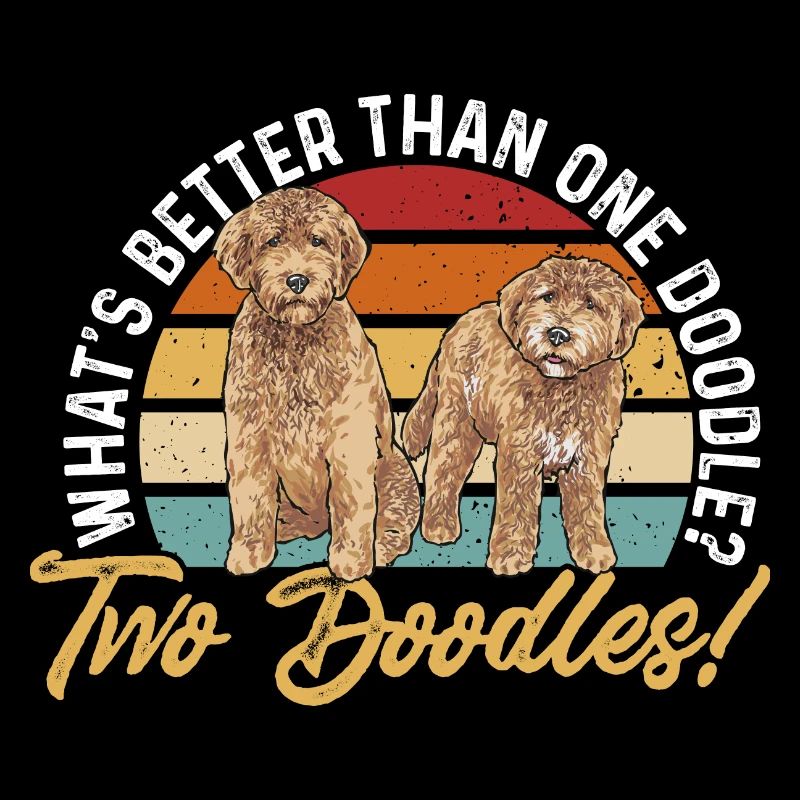 Goldendoodle Doodle Chien