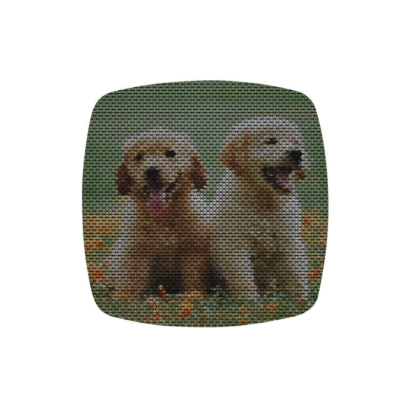 Two Labrador Retriever puppies with triangle pattern