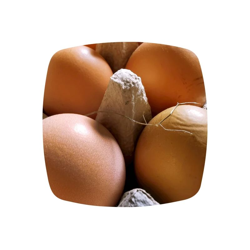 Eggs