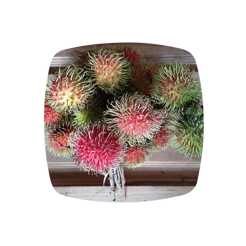 Lychee fruit