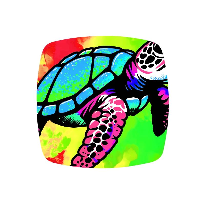 tortue