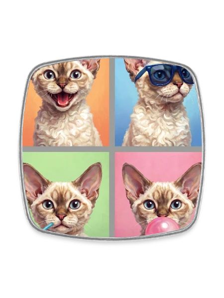 Katzen Devon Rex Katze