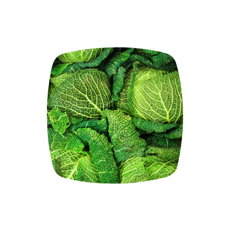 Cabbage Cabbage
