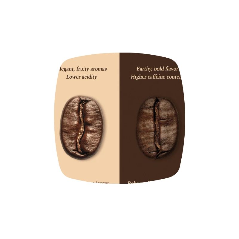 Affiche du guide du café Arabica vs Robusta