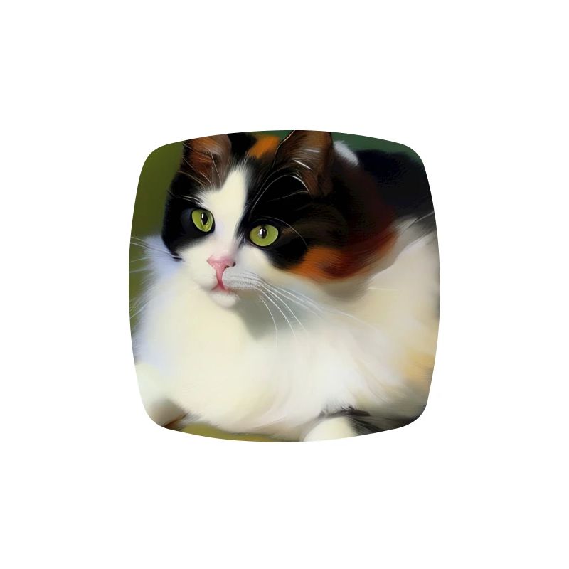 Cat Image