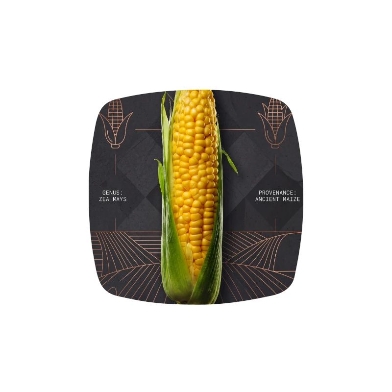 Kernel Essence: Origin & Form