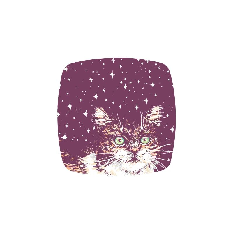STAR KITTY
