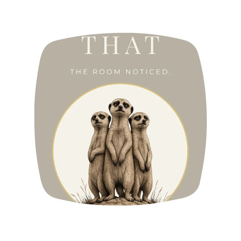 On a vu ce trio de suricates