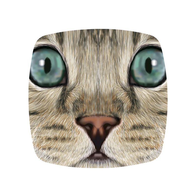 leopard cat