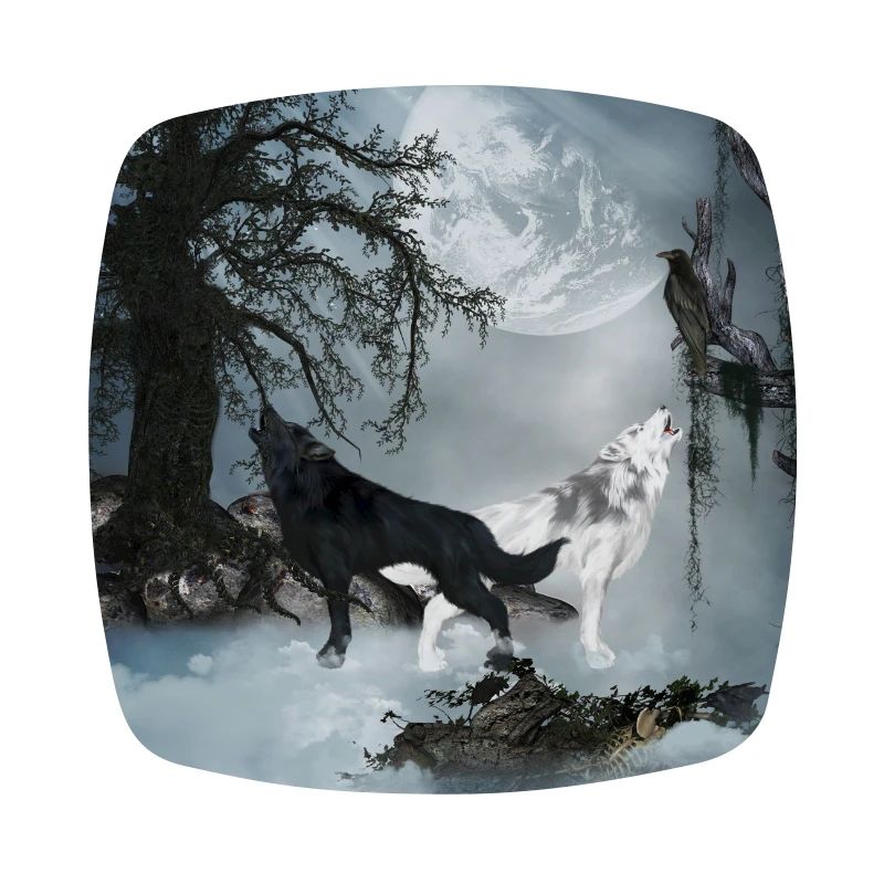 Stunning black and white wolf