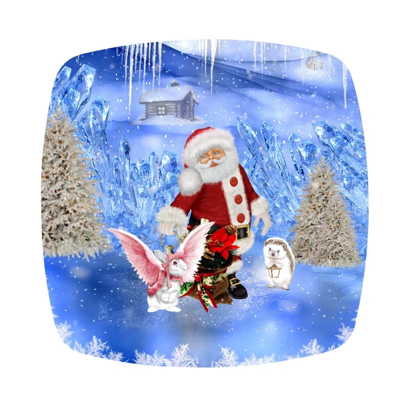 Santa avec lapin