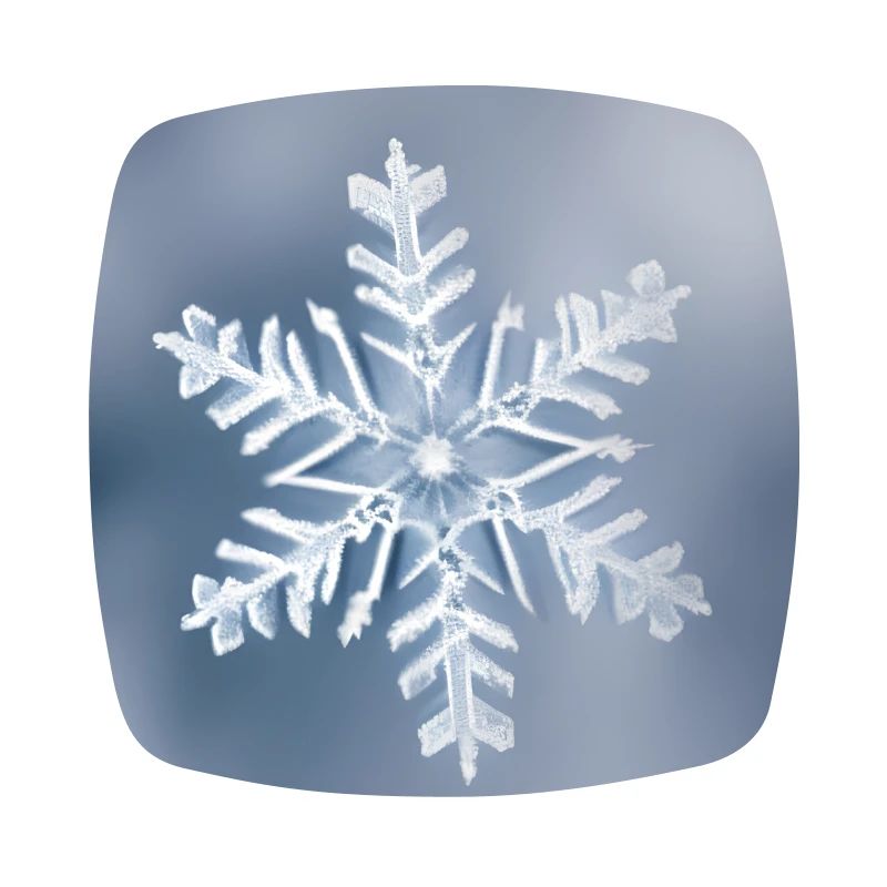 Winter snowflake portrait