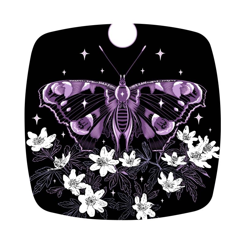 Moth moth with wood anemone