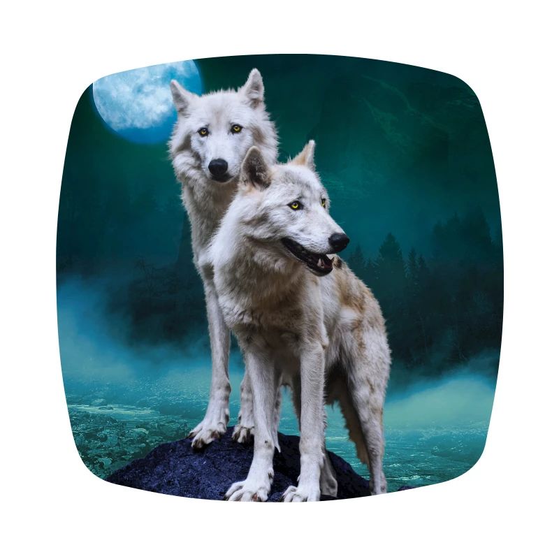 White Wolves / Two White Wolves