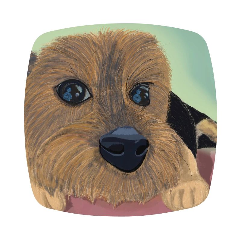 Hundeaugen oder Liebesreflex