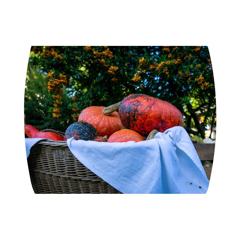 Panier de citrouille