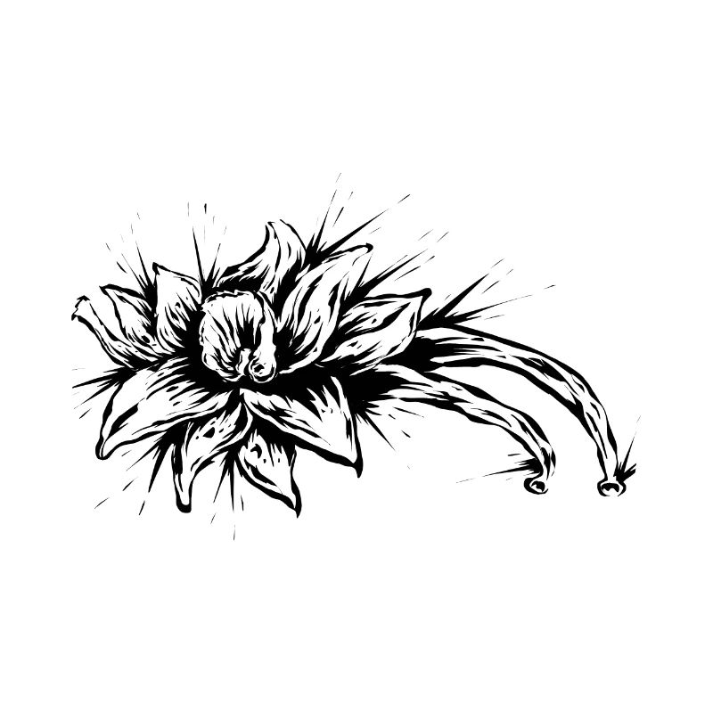Fleur de vanille