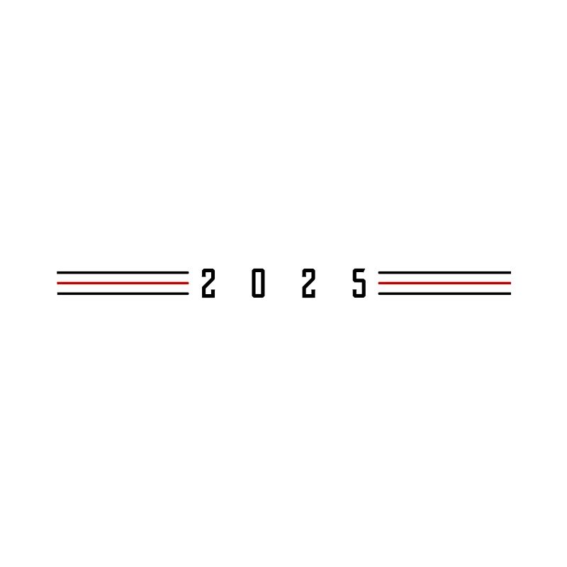 2025 year