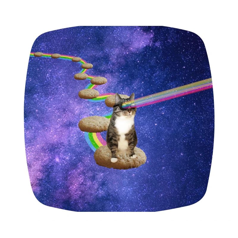 Mignon chat tigré dans l’espace