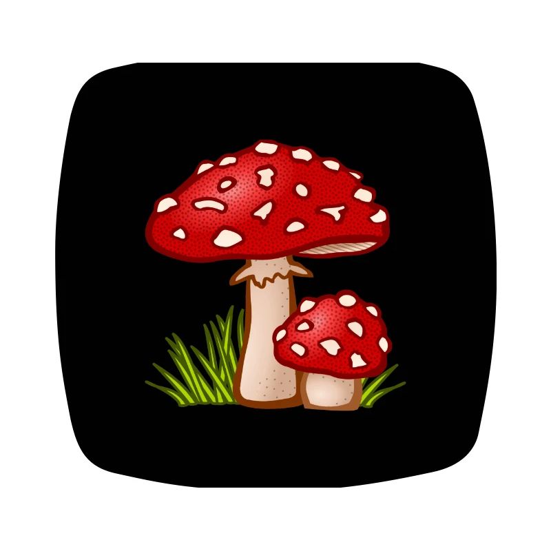 Champignons Champignons Champignons