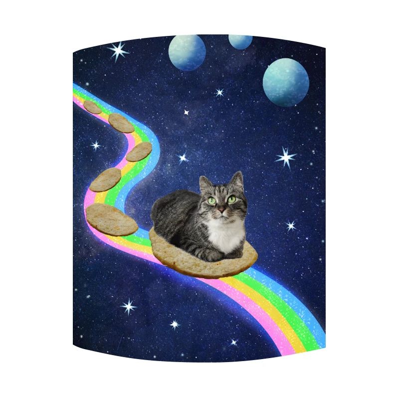 Chat mignon dans l’espace