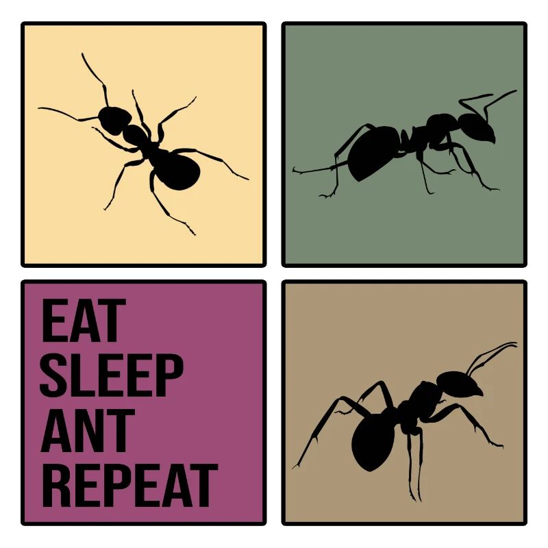 ant repeat antityp retro ant ants anti