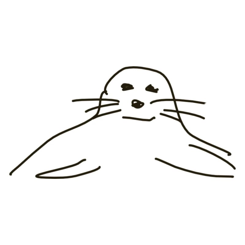 phoques phoques phoques animaux