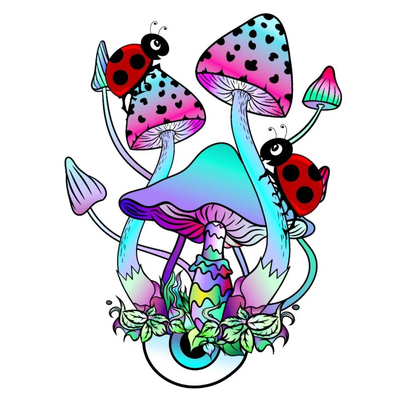 Magic Mushrooms Ladybug Psychedelic Mushroom Art