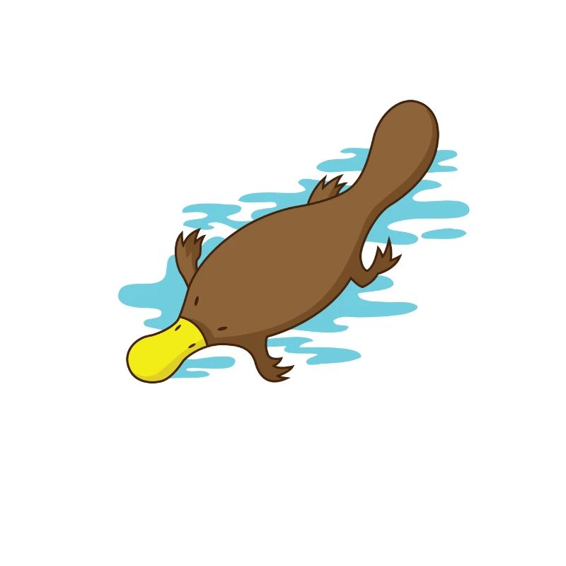 Ornithorynque dans l'eau