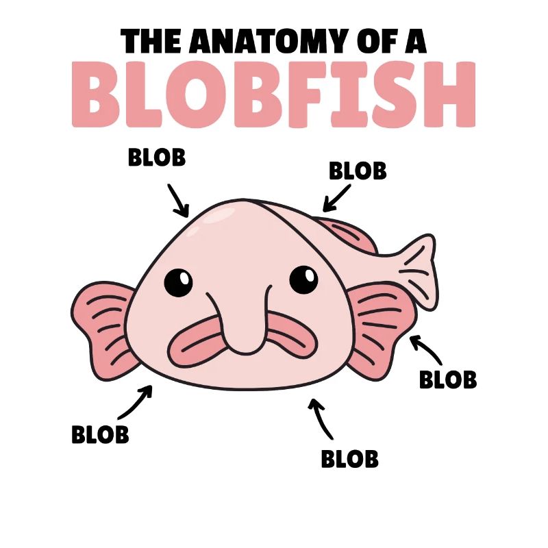 Blobfish Explication Anatomie d’un Blobfish