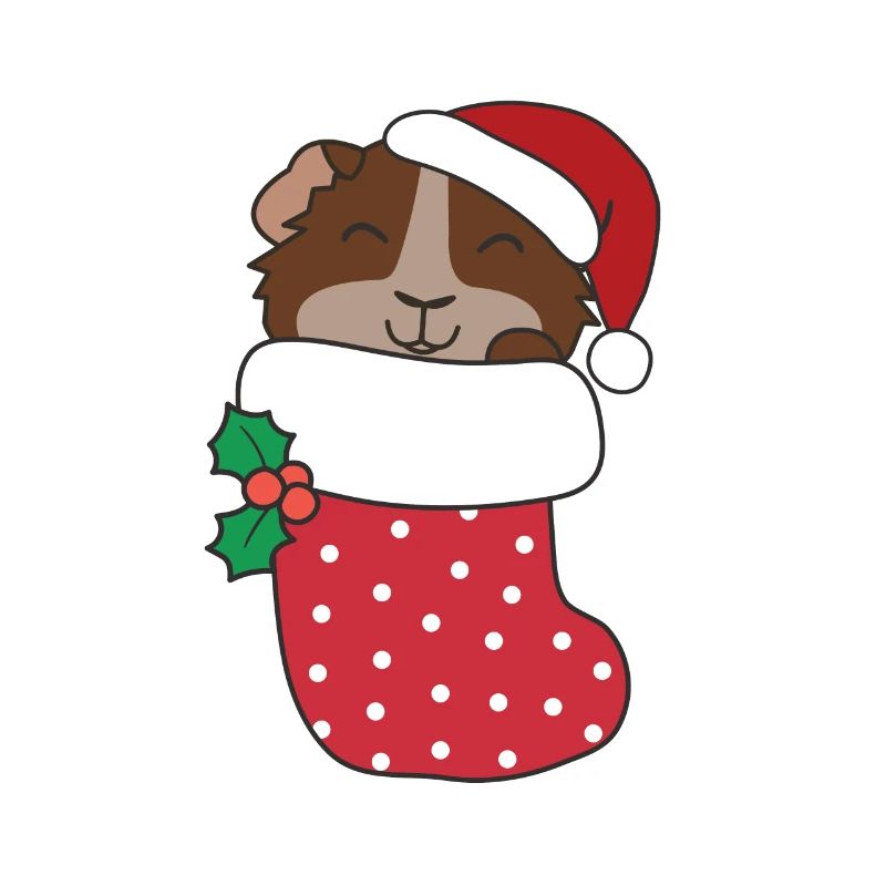 Mignon cochon d’Inde en chaussette de Noël aussi