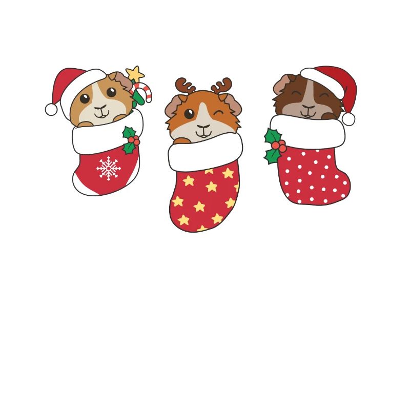 Mignon cochon d’Inde en chaussette de Noël aussi